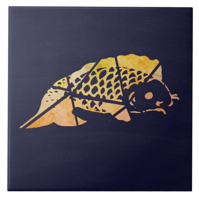 Cerâmica Azulejo Cerâmico de Peixe Koi (Frente)
