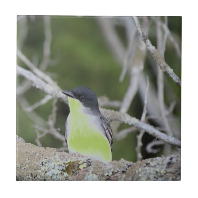 Cerâmica Azulejo Cerâmico de Pequenas Aves (Frente)