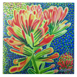 Cerâmica Azulejo cerâmico de pincel indiano, CA Native Plan