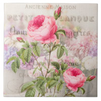Azulejo cerâmico de roscas rosadas