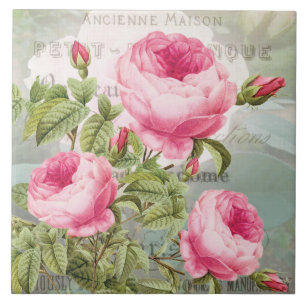 Cerâmica Azulejo cerâmico de roscas rosadas francesas