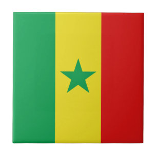 Cerâmica Azulejo cerâmico de Sinalizador Senegal