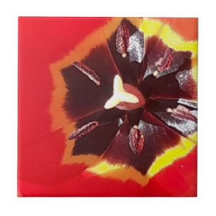 Cerâmica Azulejo Cerâmico de Tulipas Vermelhas Escarlate