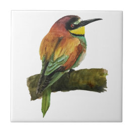 Cerâmica Azulejo cerâmico europeu de apicultura