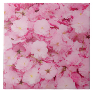 Cerâmica Azulejo Cerâmico Flor de Cerejeira Rosa Botânico