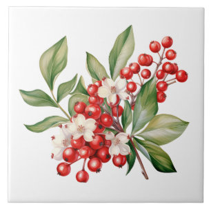 Cerâmica Azulejo Cerâmico Floral de Frutas Vermelhas de Fer