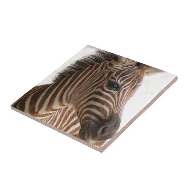 Cerâmica Azulejo Cerâmico Listra de Zebra Marrom (Lateral)