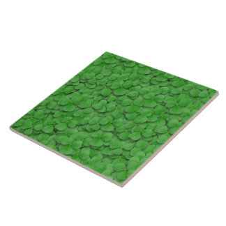 Cerâmica Azulejo cerâmico - Mar de Shamrocks