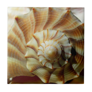 Cerâmica Azulejo cerâmico Quadrado de Relâmpago
