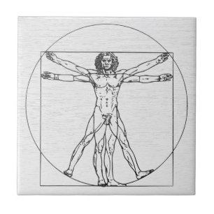 Cerâmica Azulejo Cerâmico Vintage Homem Vitruviano de Da Vi