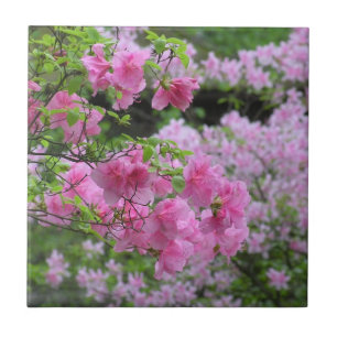 CERÂMICA  AZULEJO CÉRMICO FLORÍFICO/AZALEAS DE TINTA