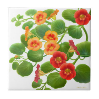Cerâmica Azulejo colorido das flores da chagas de jardim