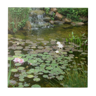 Cerâmica Azulejo da lagoa de Koi