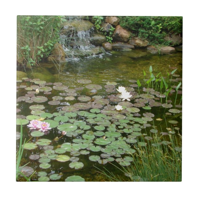 Cerâmica Azulejo da lagoa de Koi (Frente)