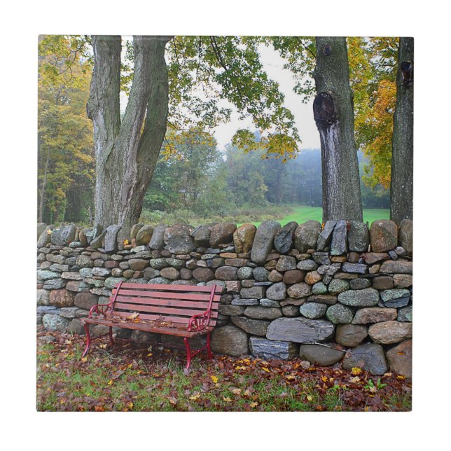 Cerâmica Azulejo da parede de pedra (Frente)