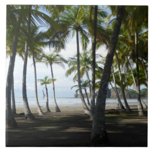 Cerâmica Azulejo da praia de Sàmara