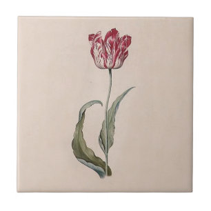 Cerâmica Azulejo da tulipa de Judith Leyster