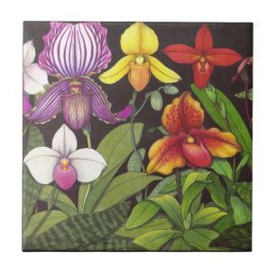 Cerâmica Azulejo das orquídeas de senhora deslizador do