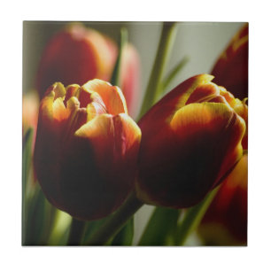 Cerâmica Azulejo das tulipas do milho de doces