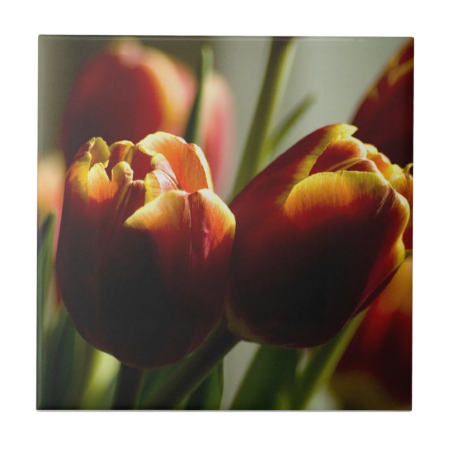 Cerâmica Azulejo das tulipas do milho de doces (Frente)