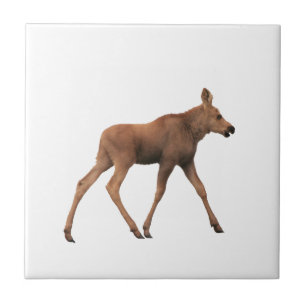 Cerâmica Azulejo de alces do bebê