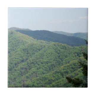 Cerâmica Azulejo de apoio Smoky Mountains 1