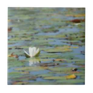 Cerâmica Azulejo de Aquarela do Lago Waterlily Flower