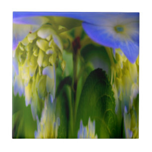 Cerâmica Azulejo de Arte Abstrato Floral de Hydrangea Azul