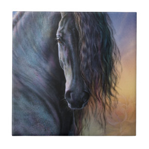 Cerâmica Azulejo de arte Black Beauty