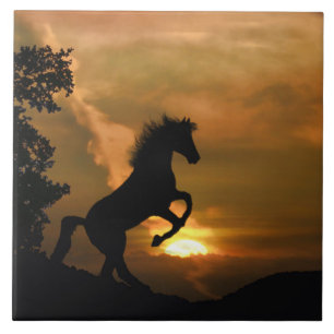 Cerâmica Azulejo de Arte bonito com Cavalos de Criação