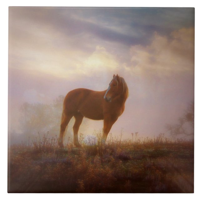 Cerâmica Azulejo de Arte bonito Palomino Mustang (Frente)