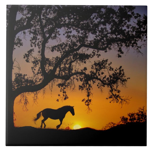 Cerâmica Azulejo de Arte de Carvalho (Frente)