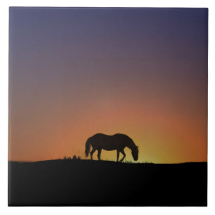 Cerâmica Azulejo de Arte de Cavalo Incrível