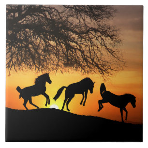 Cerâmica Azulejo de Arte de Cavalos Felizes