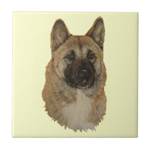 Cerâmica azulejo de arte de retrato de cachorro-akita japon