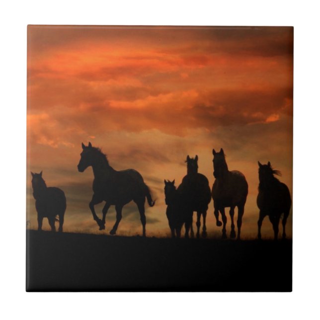 Cerâmica Azulejo de Arte do Cavalo (Frente)
