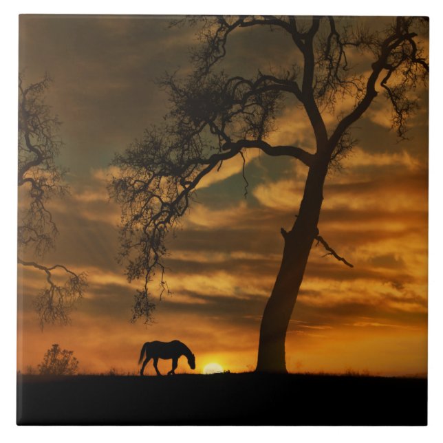 Cerâmica Azulejo de Arte do Cavalo (Frente)