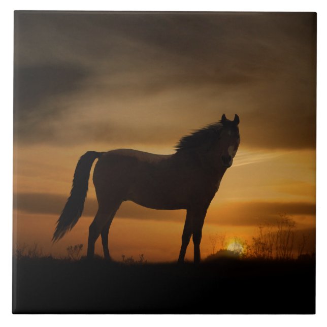 Cerâmica Azulejo de Arte do Sudoeste (Frente)