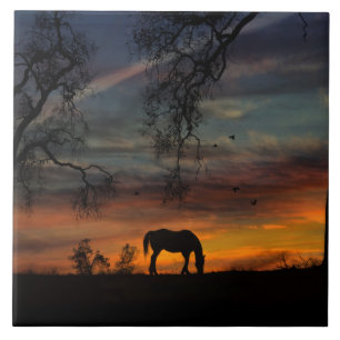 Cerâmica Azulejo de Arte do Sudoeste Incrível