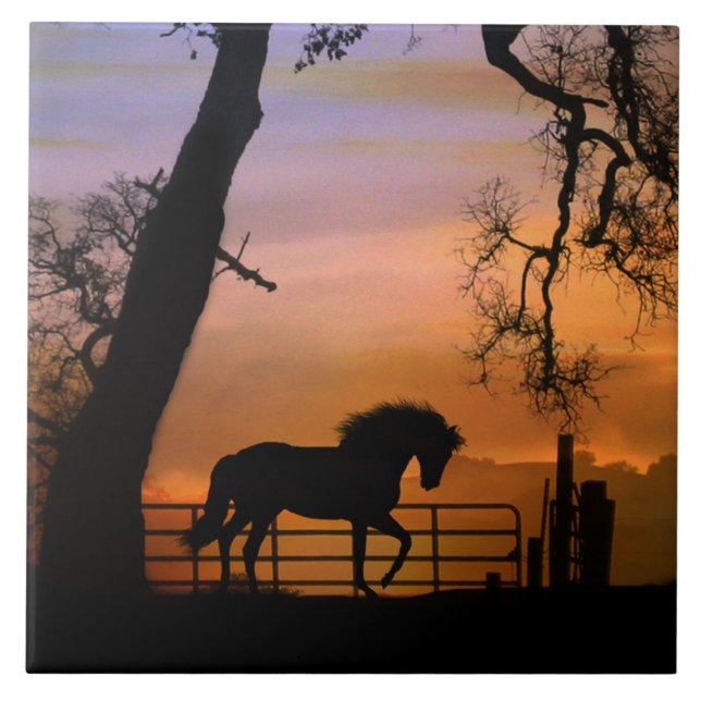 Cerâmica Azulejo de Arte Equestre, Bonito Sudoeste (Frente)