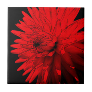 Cerâmica Azulejo de Arte Floral Red Hot Dahlia