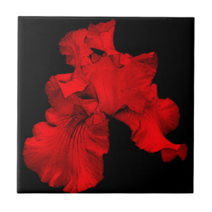 Cerâmica Azulejo de Arte Floral Red Hot Iris