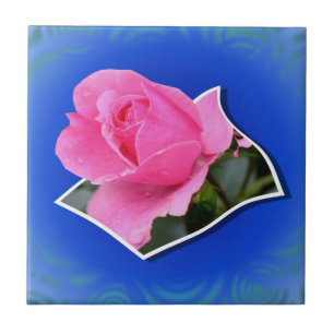 Cerâmica Azulejo de Arte Floral Rosa Rosa Rosa Rosa Pop