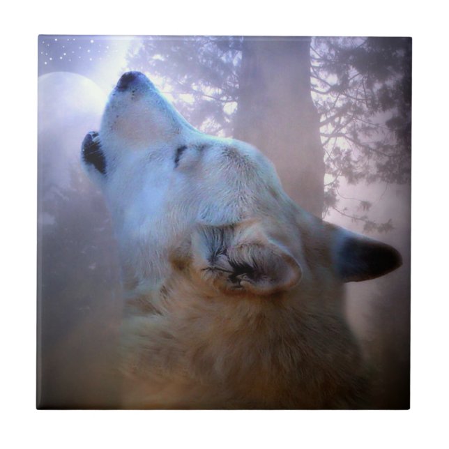 Cerâmica Azulejo de Arte Mágica do Wolf (Frente)