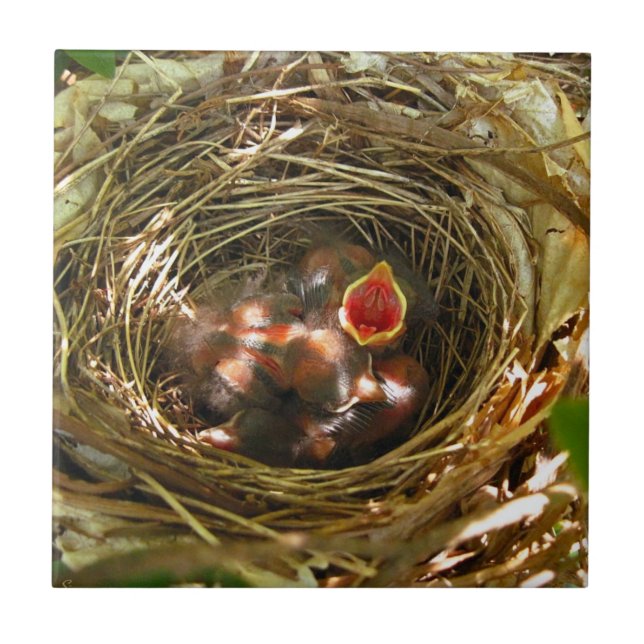 Cerâmica Azulejo de Arte Sing Out (Frente)