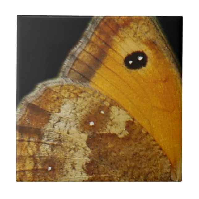 Cerâmica Azulejo de Asa de Borboleta (Frente)