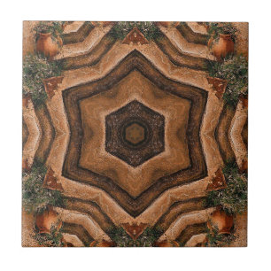 Cerâmica Azulejo de Backsplash do Jardim Tuscan ~