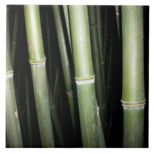 Cerâmica Azulejo de bambu da parede do design