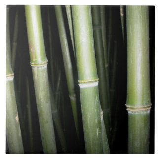 Cerâmica Azulejo de bambu da parede do design