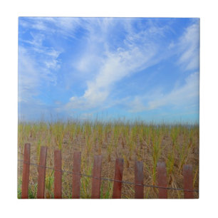 Cerâmica Azulejo De Beachê De Hammonasset